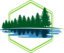 Pond Cleaning Service Pros