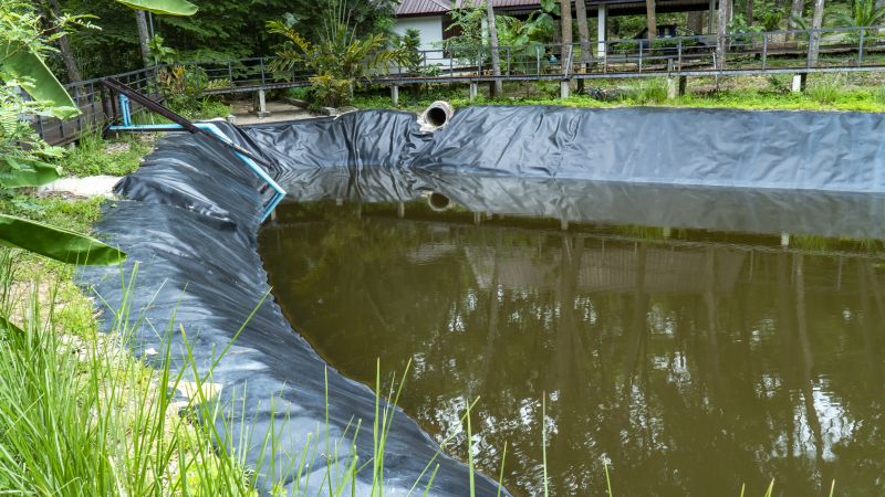 Pond Cleaning Service
