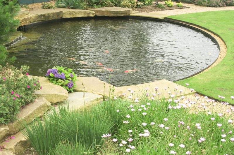 Pond Cleaning Service