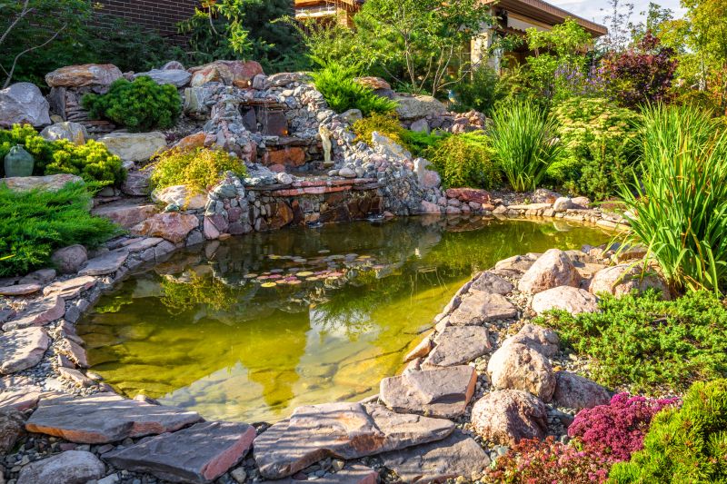 Pond Cleaning Service