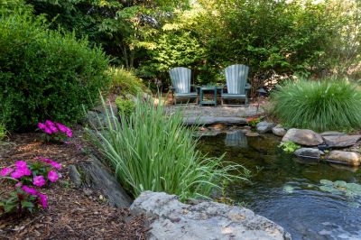 Pond Cleaning Service