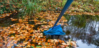 Pong Cleaning, Pond Cleaning Service, Virginia